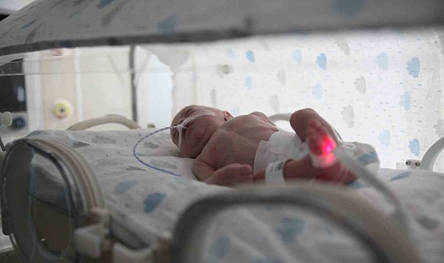 Deprem bölgesinden Mersin'e getirilen bebekler, DNA eşleşmesi ile ailelerine teslim ediliyor