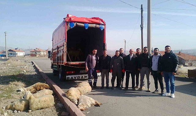 Depremzedeler için 13 küçükbaş hayvan bağışladılar