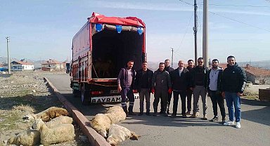 Depremzedeler için 13 küçükbaş hayvan bağışladılar