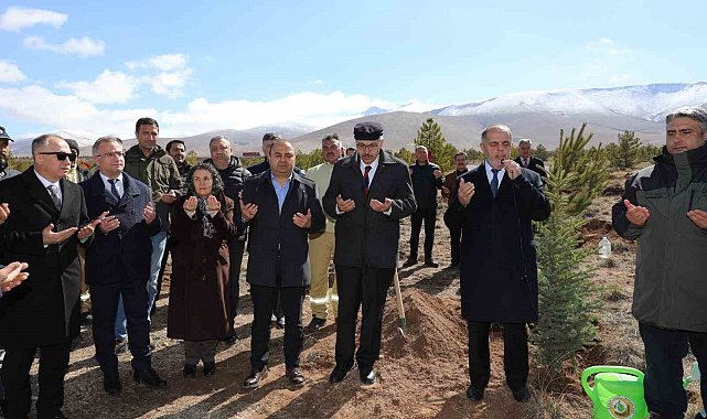 Depremzedeler için orman oluşturuldu