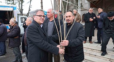 Fidan belediyeden meyve vatandaştan