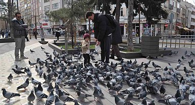 Hayvan sevgisi bu yaşta böyle başlıyor