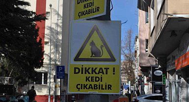 Hız yapan duyarsız sürücüler için "Dikkat Kedi Çıkabilir" yazılı önlem