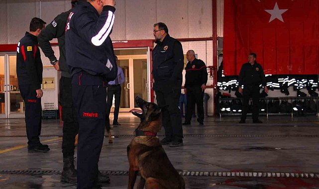 İtfaiye erinin eğittiği arama kurtarma köpekleri 18 kişinin hayatına dokundu