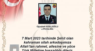 Jandarma Pilot Kıdemli Albay Adalıoğlu pervane çarpması sonucu şehit oldu