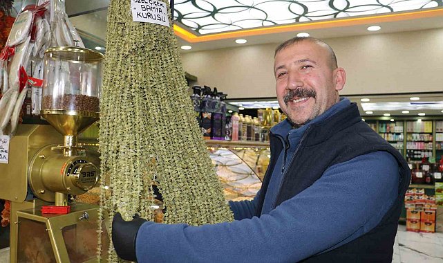 Kansere bile çare, fiyatı altınla yarışıyor