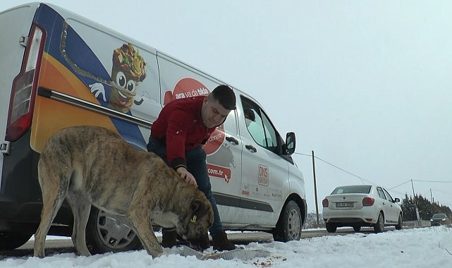 Kar yağdı, sokak hayvanları unutulmadı