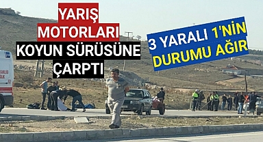 Karaman'da Motorsikletliler Koyun Sürüsüne Çarptı