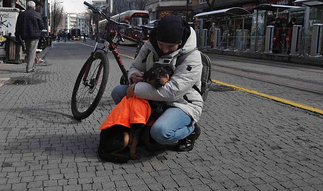 Kayıp köpeğe duyarlı vatandaş sahip çıktı