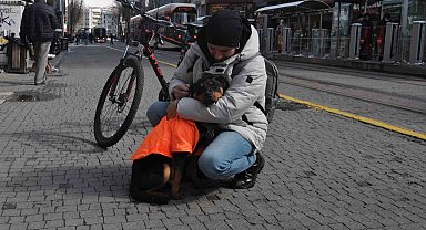 Kayıp köpeğe duyarlı vatandaş sahip çıktı