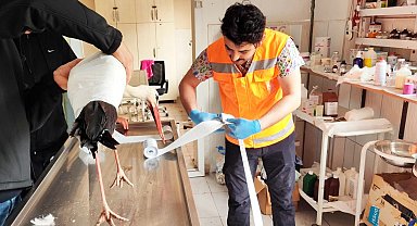 Keçiören Belediyesi binlerce afetzede canlıyı tedavi etti