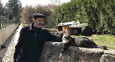 Komşularının istemediği kedileri için parka ev yaptı