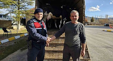 Konya'da 300 bin lira değerinde büyükbaş hayvan çaldığı iddia edilen şüpheli tutuklandı