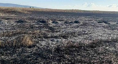 Koruma altındaki Göksu Deltası'nda çıkan yangın kendiliğinden söndü