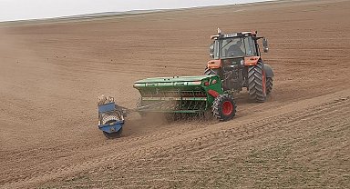 Kulu'da baklagil ekimleri başladı