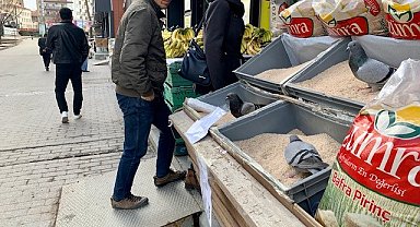 Market tezgâhını yağmalayan güvercinler