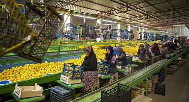 Mersin'den deprem bölgesine 160 ton narenciye ürünü gönderildi