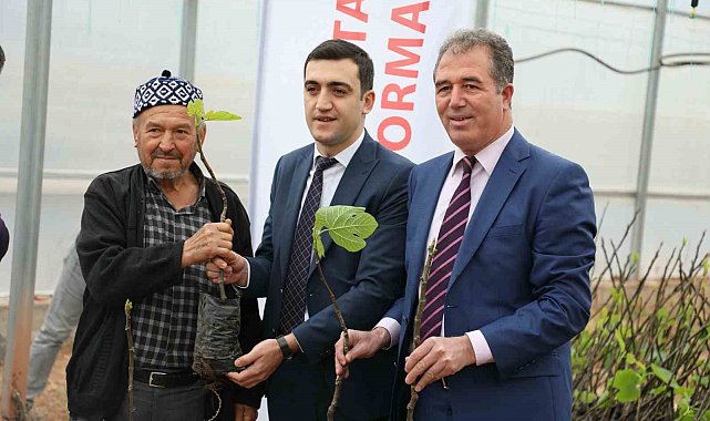 "Sarıcakaya'da İncir Yetişiyor" projesi