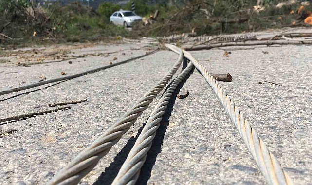 Rüzgarda devrilen asırlık ağaç yolu ulaşıma kapattı