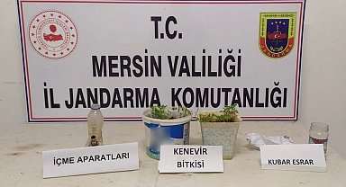 Saksıda kenevir yetiştiren şüpheli yakalandı
