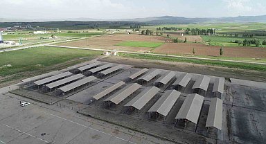 Sivas'ta hayvan pazarı kapatıldı