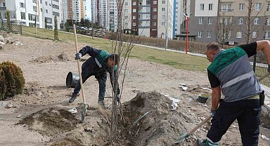 Talas'ta ağaçlandırma sezonu açıldı