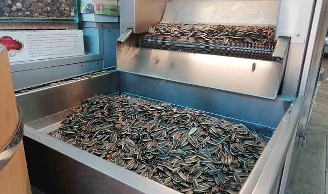 Taze çekirdeğin kokusunu duyan geliyor