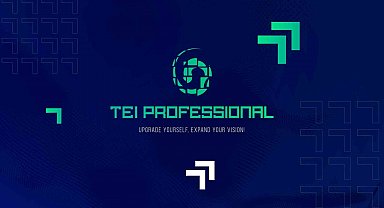 TEI'den yeni çevrim içi eğitim ve gelişim programı