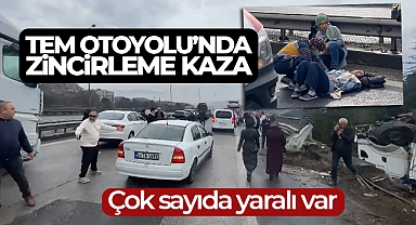 TEM Otoyolu Kocaeli geçişinde zincirleme kaza