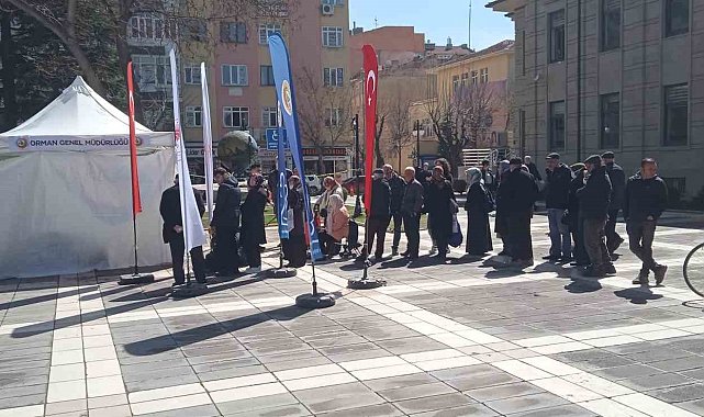 Valilikten vatandaşlara fidan dağıtımı