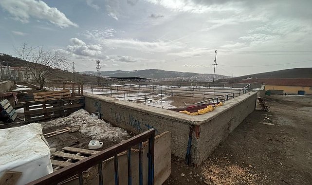 Yozgat'ta canlı hayvan pazarları tedbiren kapatıldı