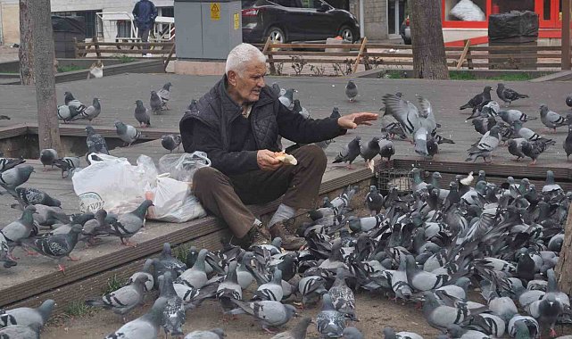 15 senedir her gün kuşları besliyor