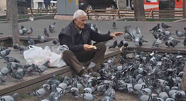 15 senedir her gün kuşları besliyor