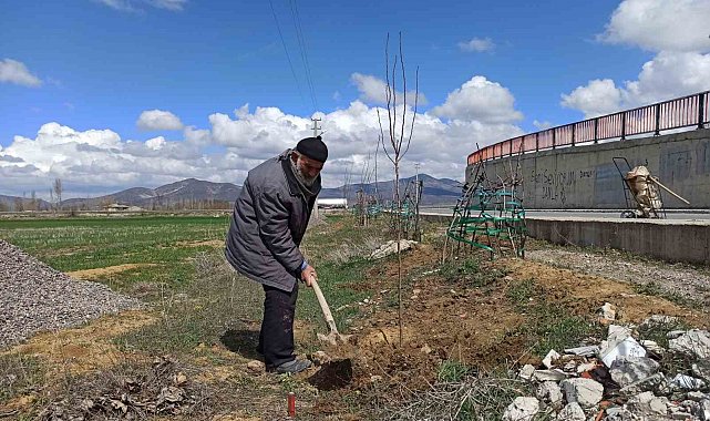 'Ağaç sever dede' diktiği bine yakın ağacın bakımını aksatmıyor