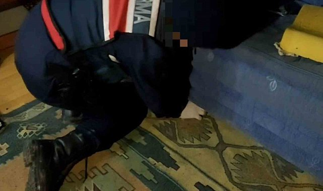 'Kaput' kanepeye gizlenmiş uyuşturucu tespit etti
