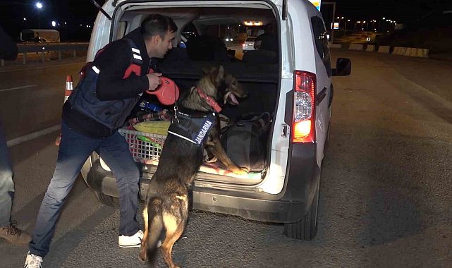 43 ilin geçiş güzergahında gece yarısı narkotik köpekli denetim: Araçlar didik didik arandı