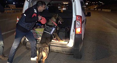 43 ilin geçiş güzergahında gece yarısı narkotik köpekli denetim: Araçlar didik didik arandı