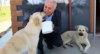 Akdeniz'de can dostlara özel etkinlik