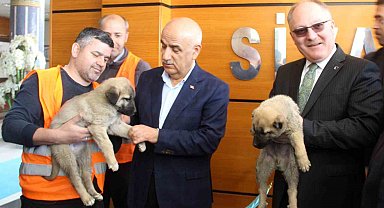 Bakan Kirişci: "Sivas'ımızı tarımsal üretimde ilk sıraya yerleştireceğiz"