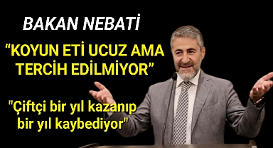Bakan Nebati