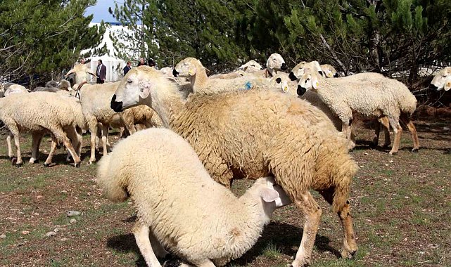 Bilimsel çalışmalar için kurulmuştu, elde edilen gelir burs olarak verilecek