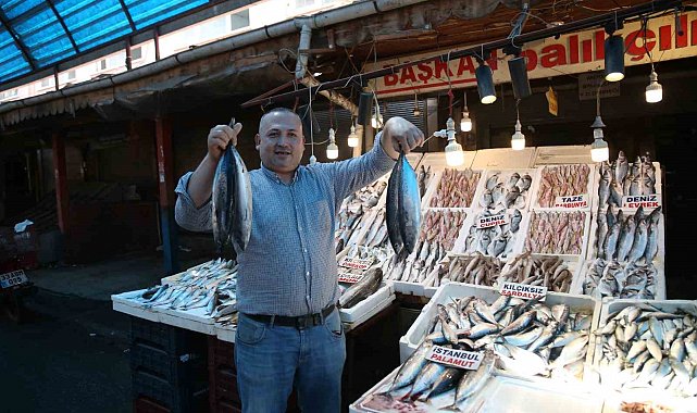 Bu senenin balık şampiyonu 'palamut' oldu