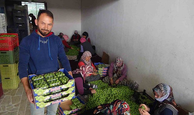Can eriğinin kilosu 20 ile 100 lira arasında değişiyor