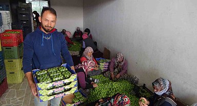Can eriğinin kilosu 20 ile 100 lira arasında değişiyor