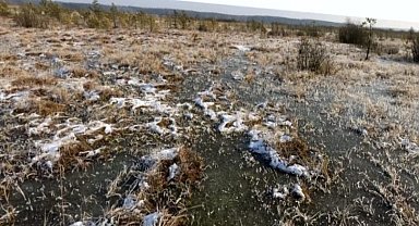 En yüksek metan kaynağı Sibirya'da donmuş halde bulunan turbalıklarda