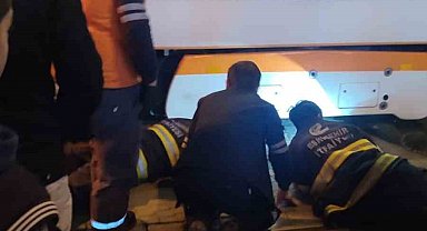 Eskişehir'de iki köpek tramvay altında kaldı