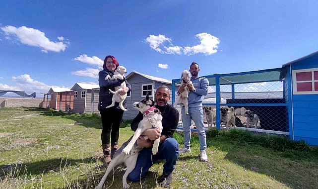 Evinin bahçesini 42 köpekle paylaşıyor