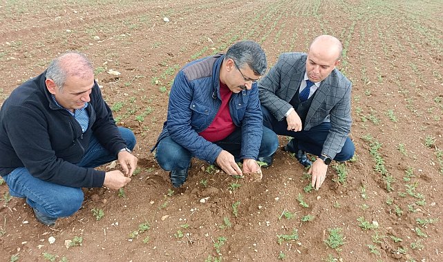Hüyük'te araziler yağışlarla bereketlendi