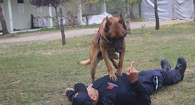 İtaat köpeği 'Rüzgar' kalp masajı yaptı, 'Batur' isimli at ip atladı