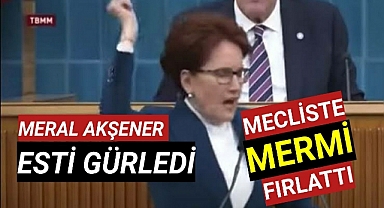 MERAL AKŞENER MECLİSTE MERMİ FIRLATTI